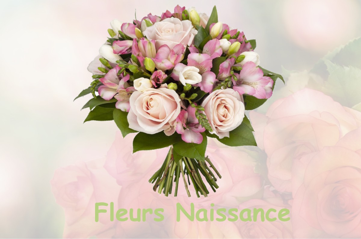 fleurs naissance MARNES-LA-COQUETTE